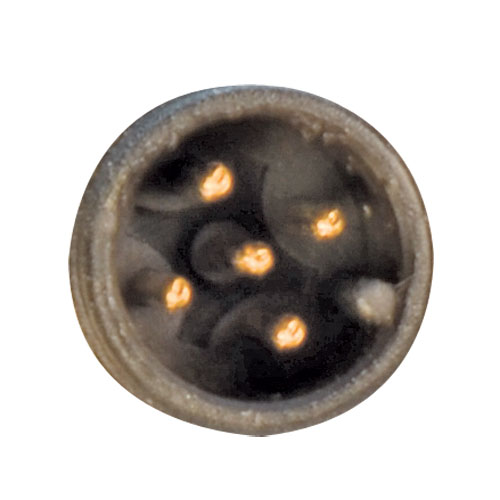 M12 5 Position A Code Male Receptacle, IP69K Rated, Rear Mounting Style with 0.3m Leads - Imagen 2